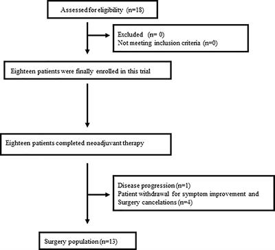 Neoadjuvant Pembrolizumab and Chemotherapy in Resectable Esophageal Cancer: An Open-Label, Single-Arm Study (PEN-ICE)